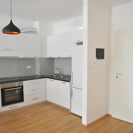 Cassiopeia تيرانا