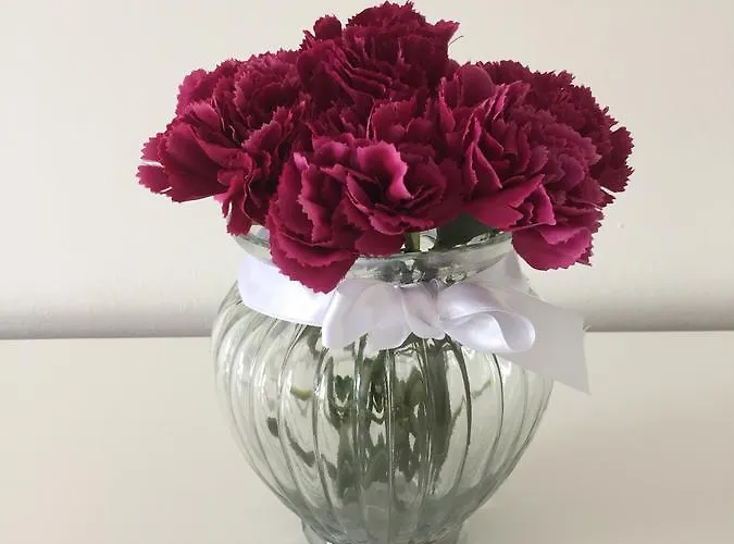 Cassiopeia Διαμέρισμα