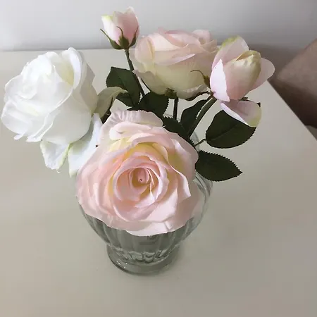 Cassiopeia 地拉那